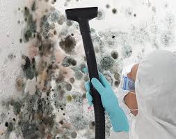 Best Mold Removal for HVAC Installations  in USA